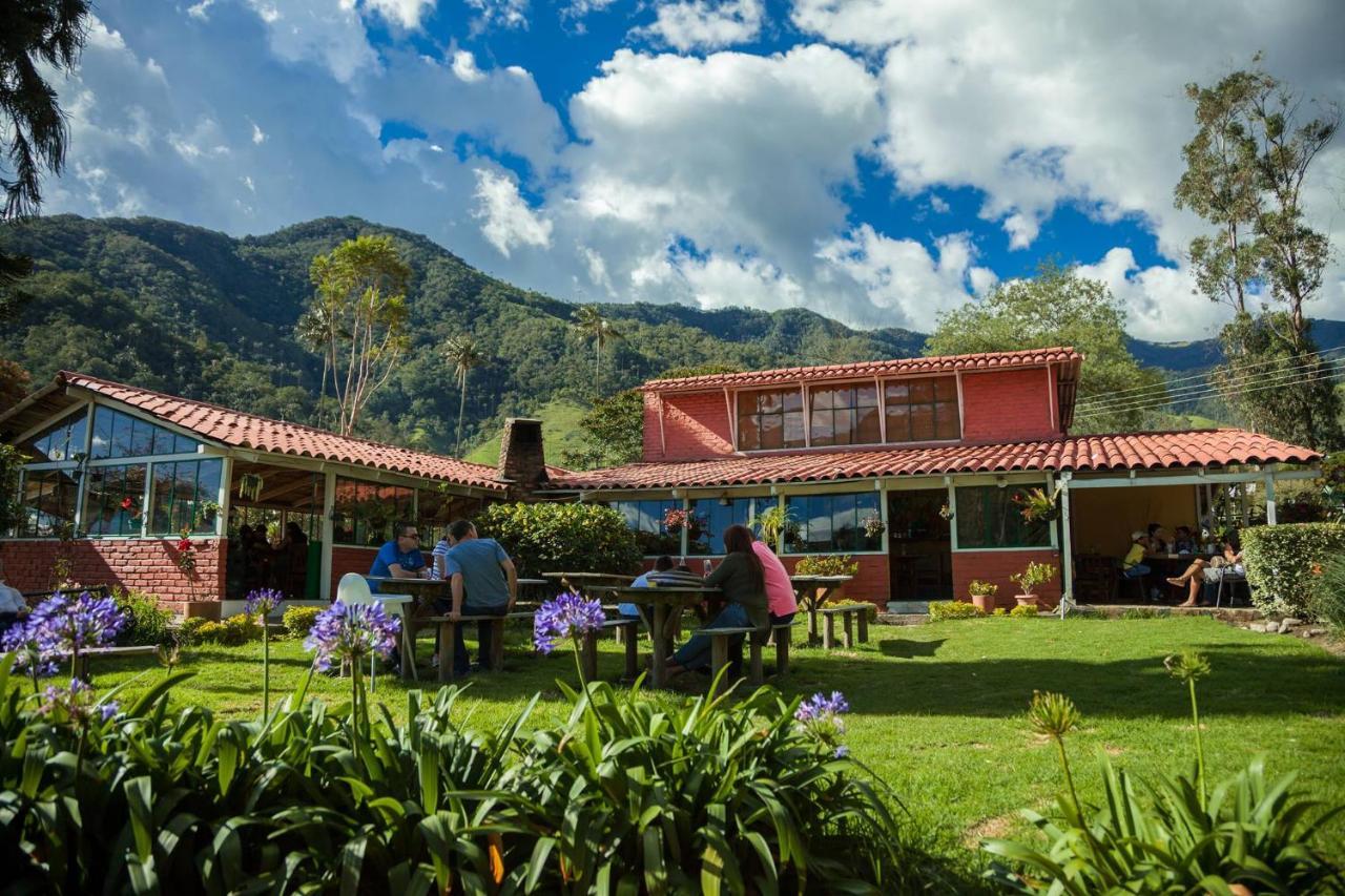 Refugio Nidos Del Condor Cocora ซาเลนโต ภายนอก รูปภาพ